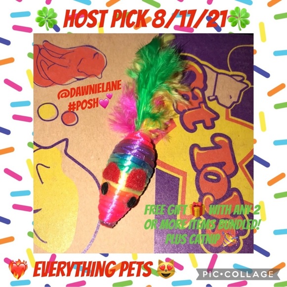 Rainbow ๐ feather tailed mouse ๐ cat toy and catnip bonus - Picture 11 of 13